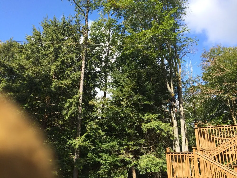Local landscape installation in Fisher, PA - Bickel's Tree Service