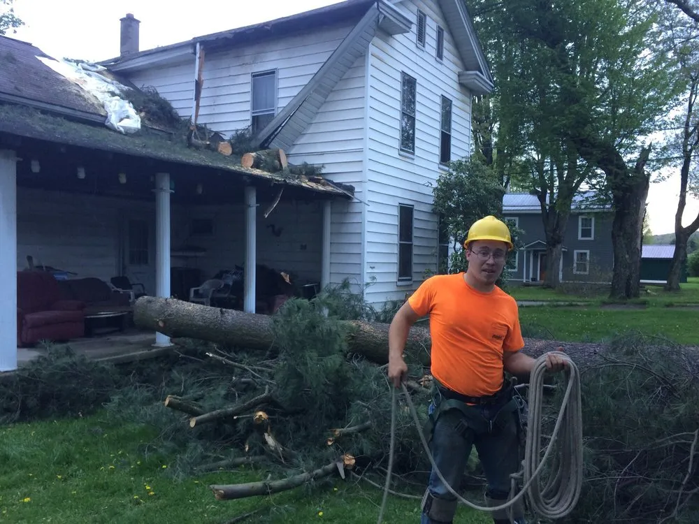 Local landscape installation experts serving Fisher, PA - Bickel's Tree Service