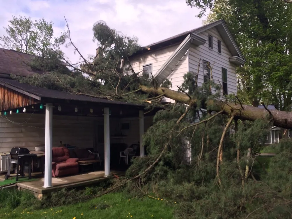 Local garden landscaping experts serving Fisher, PA - Bickel's Tree Service
