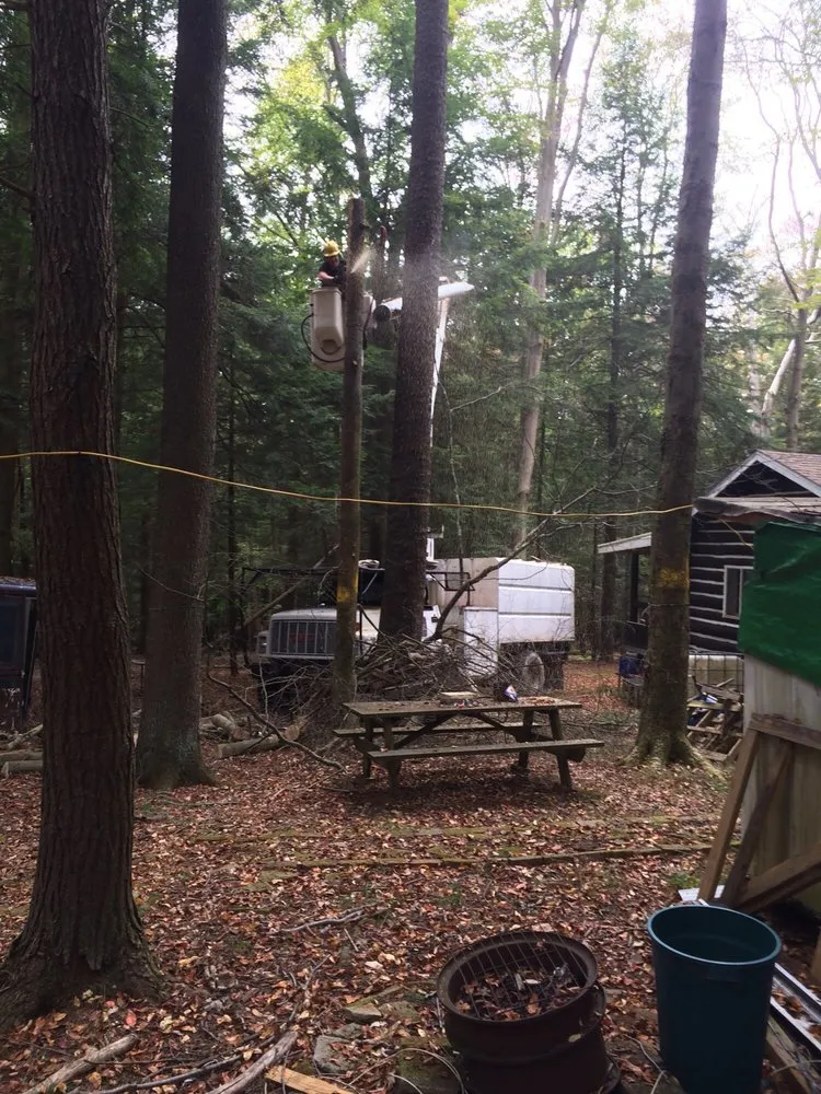 Local yard maintenance for year-round maintenance across Fisher, PA - Bickel's Tree Service