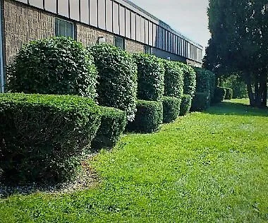 Trusted yard cleanup service experts serving Latham, NY - Bickford Landscaping