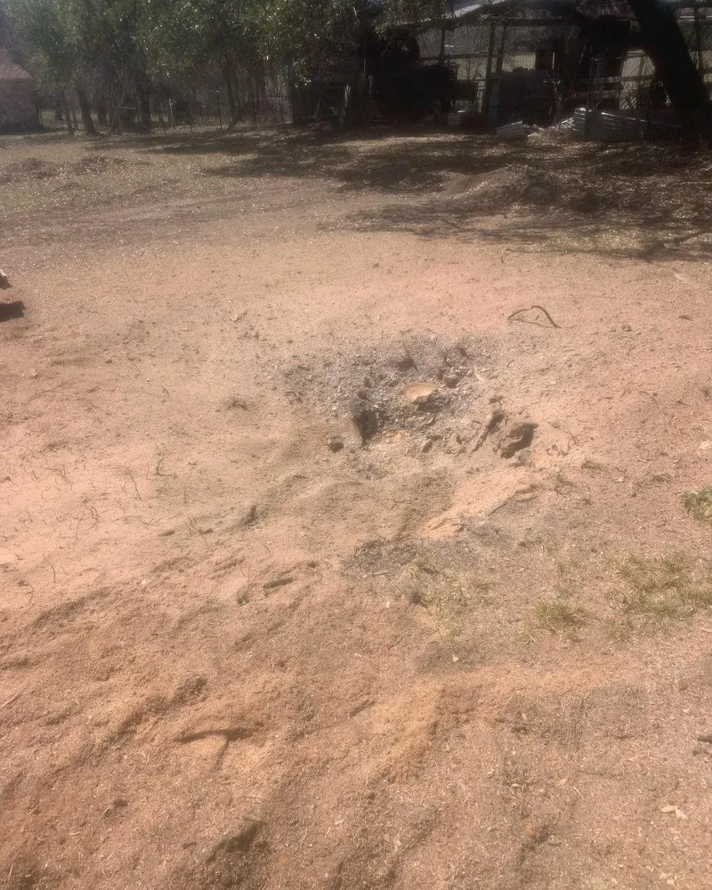 Reliable yard maintenance in Killeen, TX - Biels Hometown Lawn Care