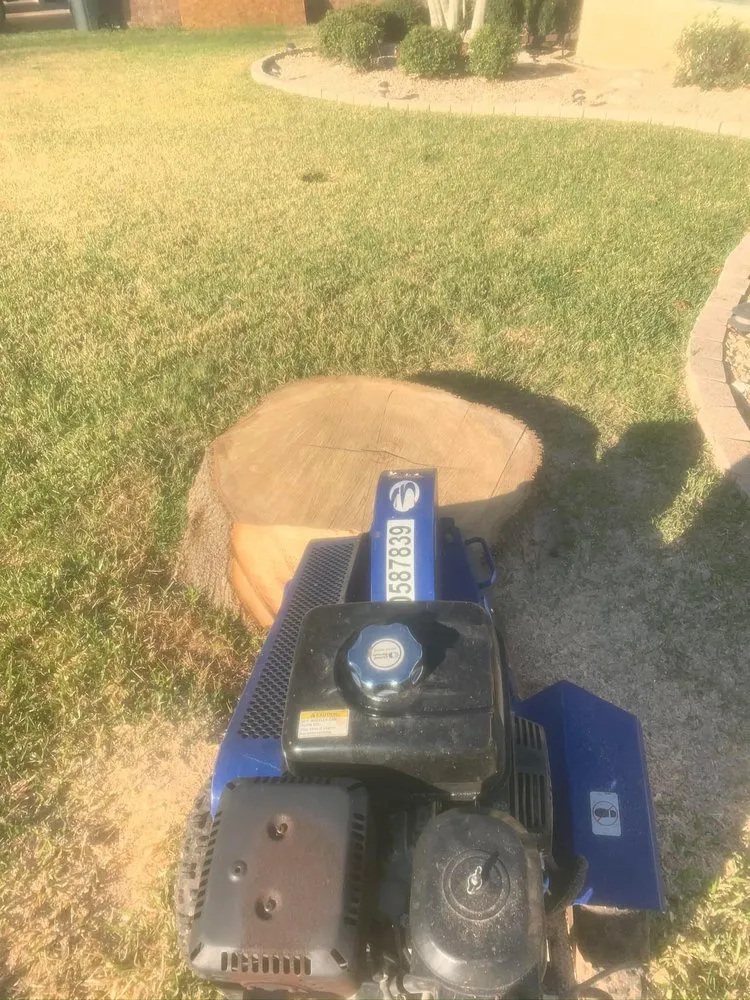 Expert lawn care service in Killeen, TX by Biels Hometown Lawn Care