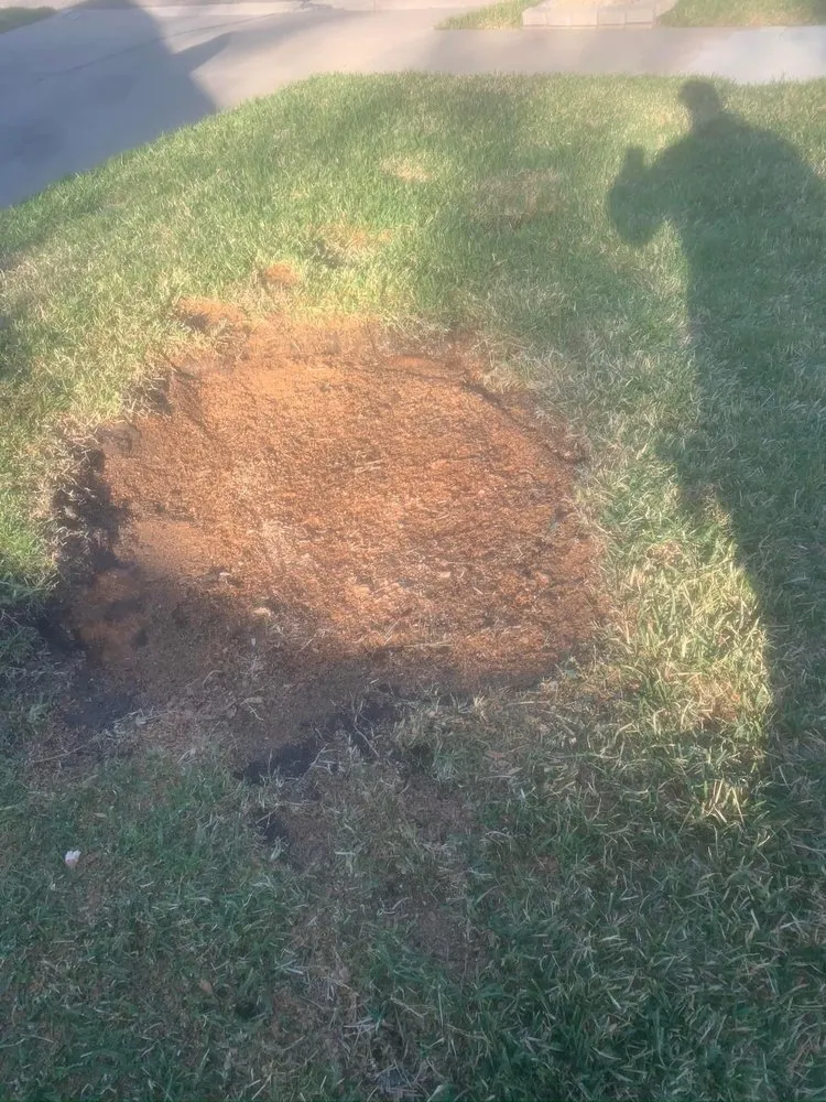 Top-rated residential landscaping in Killeen, TX - Biels Hometown Lawn Care