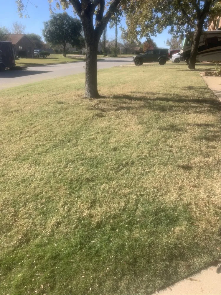 Trusted lawn mowing service in Killeen, TX by Biels Hometown Lawn Care