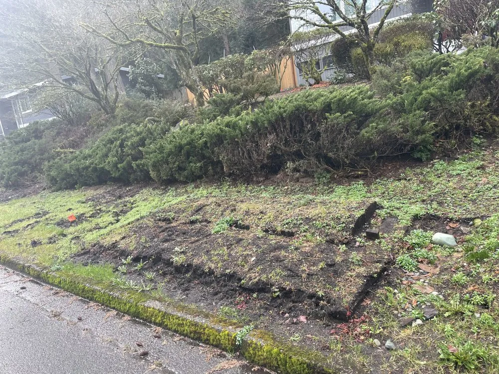 Trusted yard cleanup service near you across Redmond, WA - Bienxcape