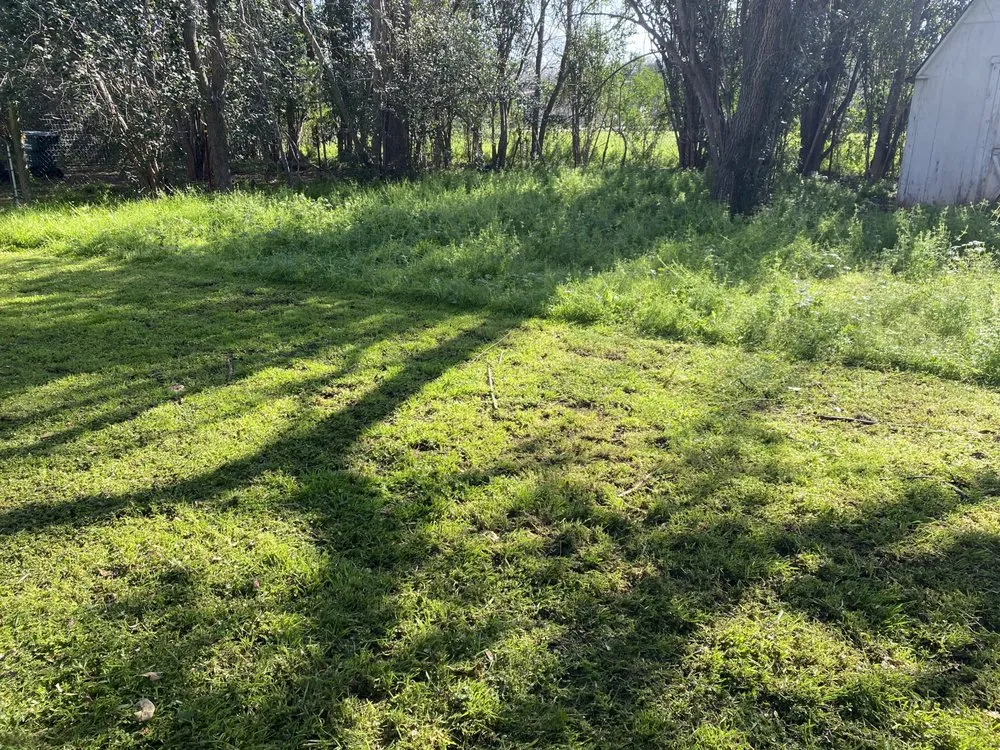 Custom landscape design for outdoor upgrades in Maxwell, TX by Biff