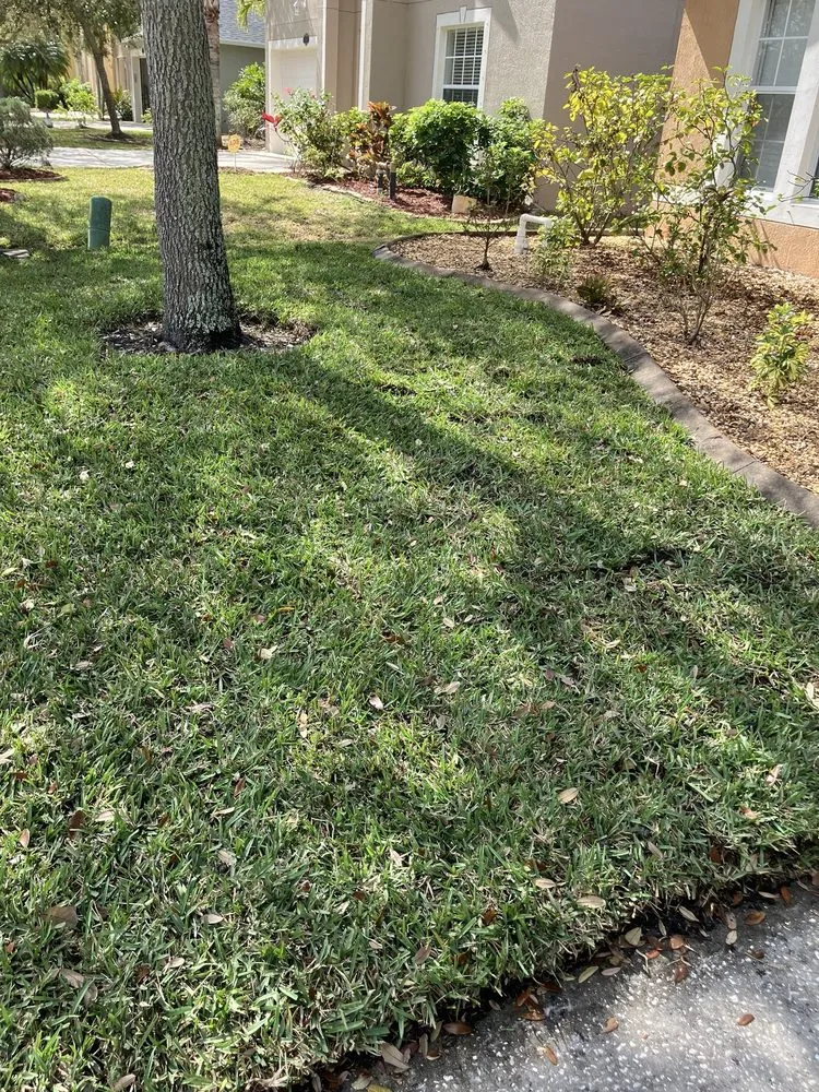 Trusted landscape installation experts serving West Melbourne, FL - Big 3 Lawn Care