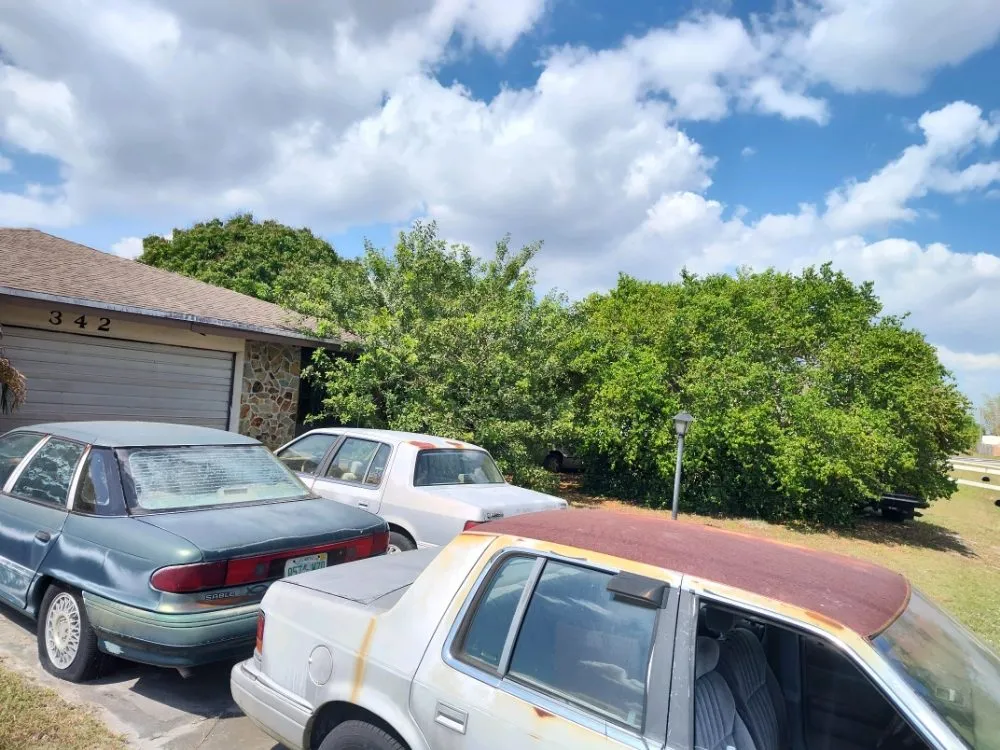 Affordable residential landscaping in West Melbourne, FL by Big 3 Lawn Care