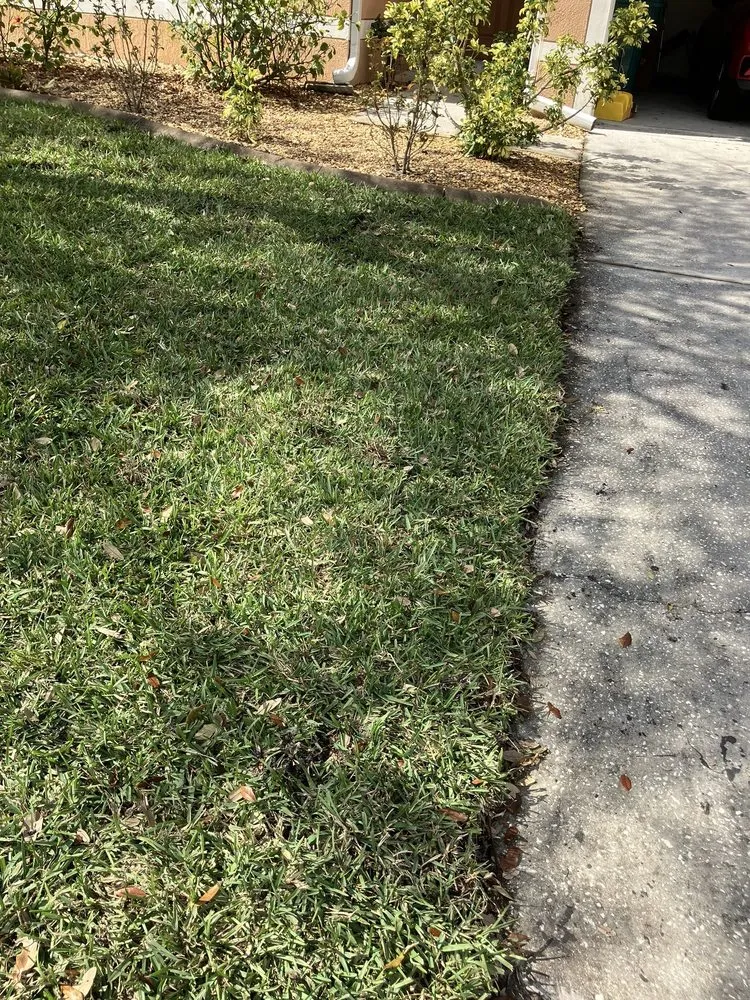 Custom yard cleanup service for outdoor upgrades across West Melbourne, FL - Big 3 Lawn Care