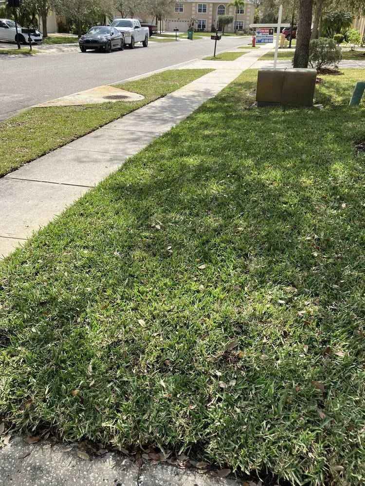 Affordable residential landscaping experts serving West Melbourne, FL - Big 3 Lawn Care