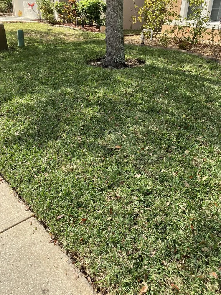 Professional outdoor landscaping in West Melbourne, FL by Big 3 Lawn Care