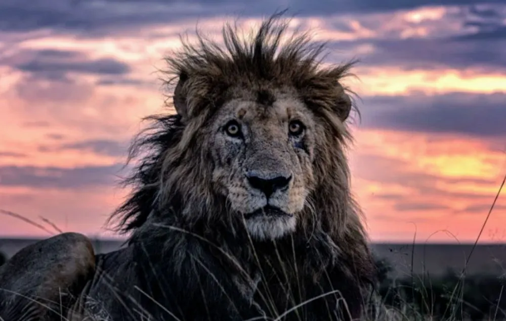 Expert lawn care service in West Melbourne, FL - Big 3 Lawn Care