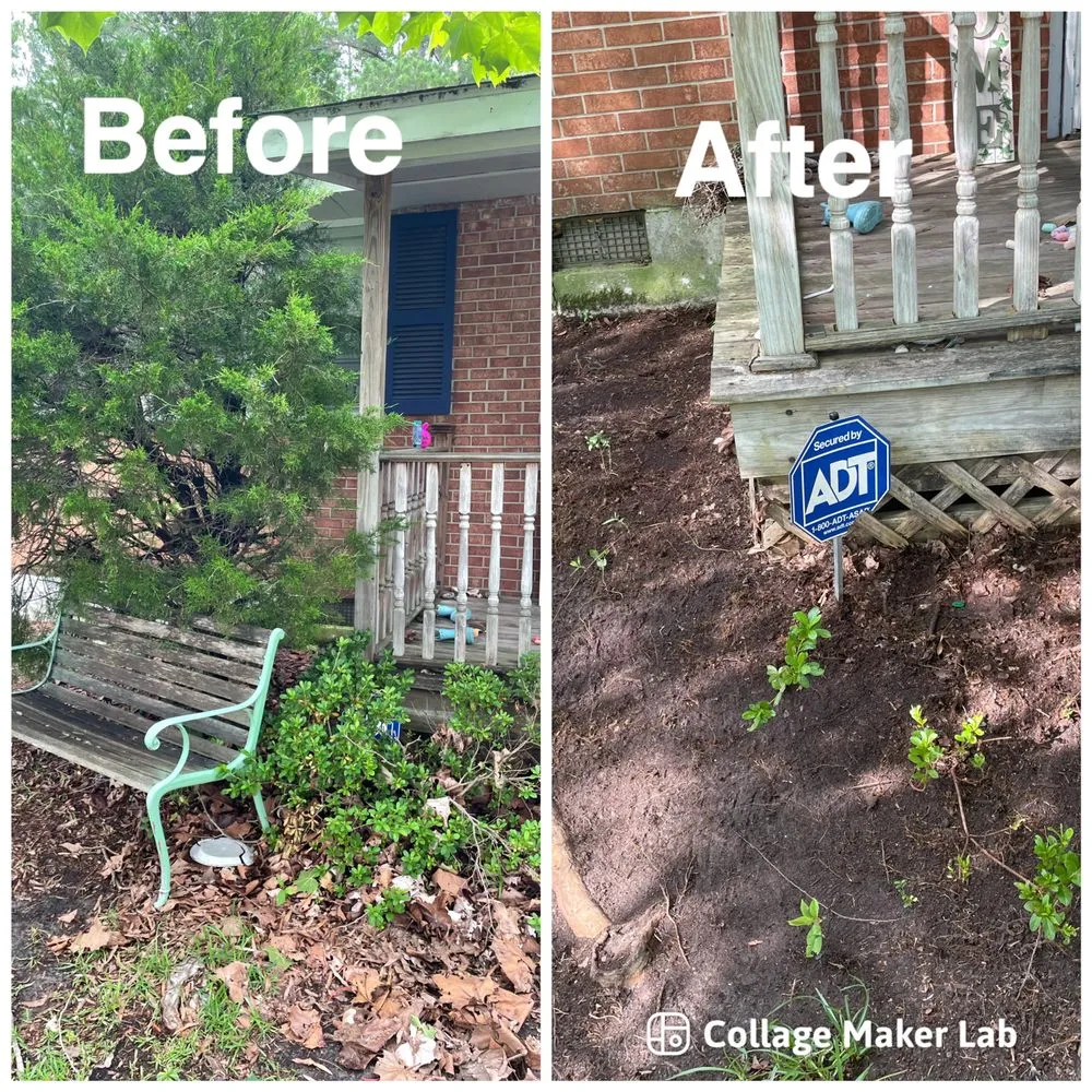 Expert landscape design for beautiful yards across Jacksonville, NC - Big 5 Lawncare