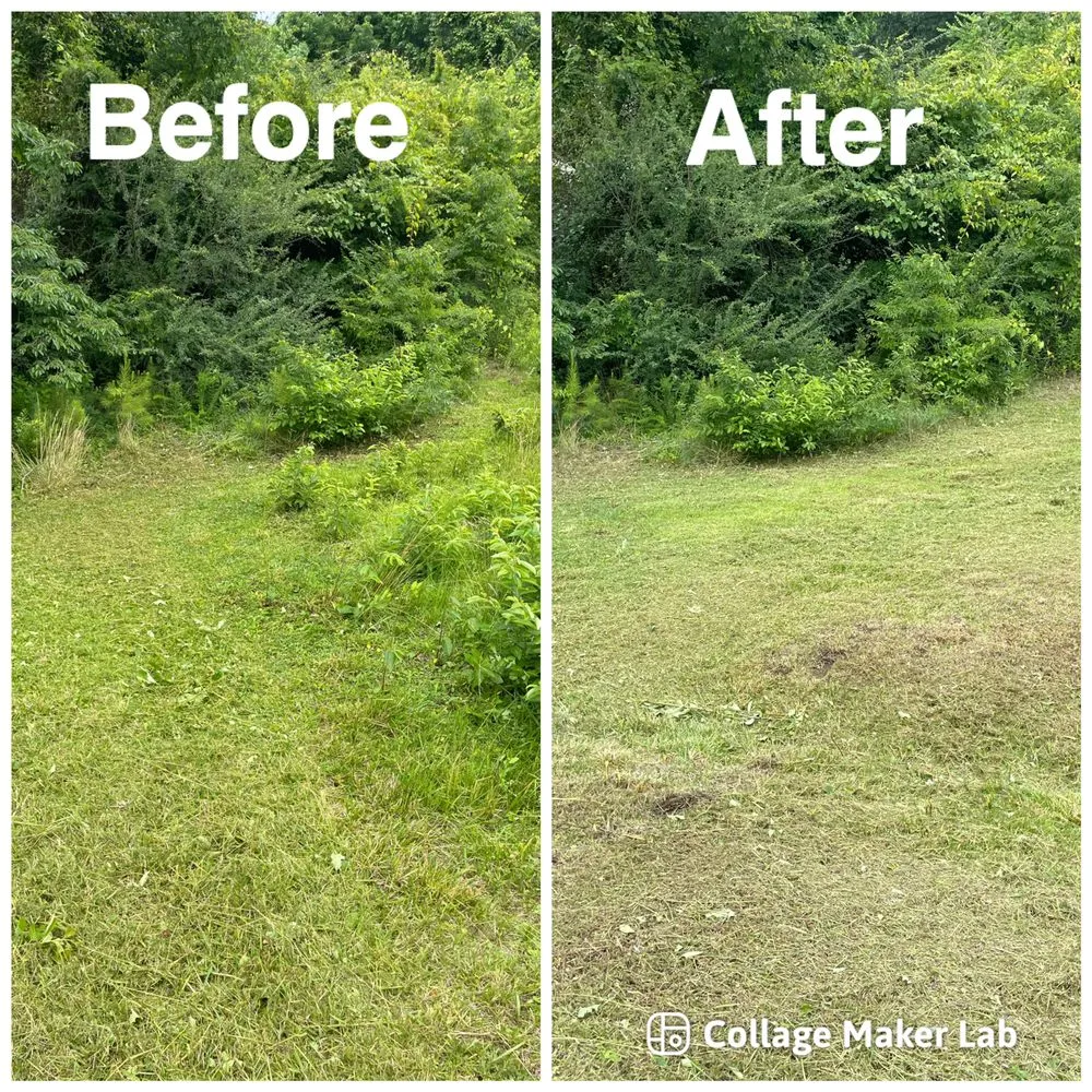 Expert outdoor landscaping for beautiful yards in Jacksonville, NC by Big 5 Lawncare