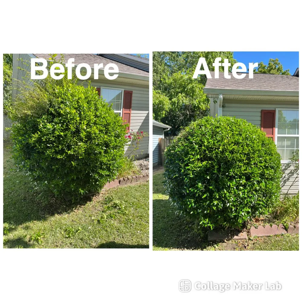 Local landscape design in Jacksonville, NC - Big 5 Lawncare