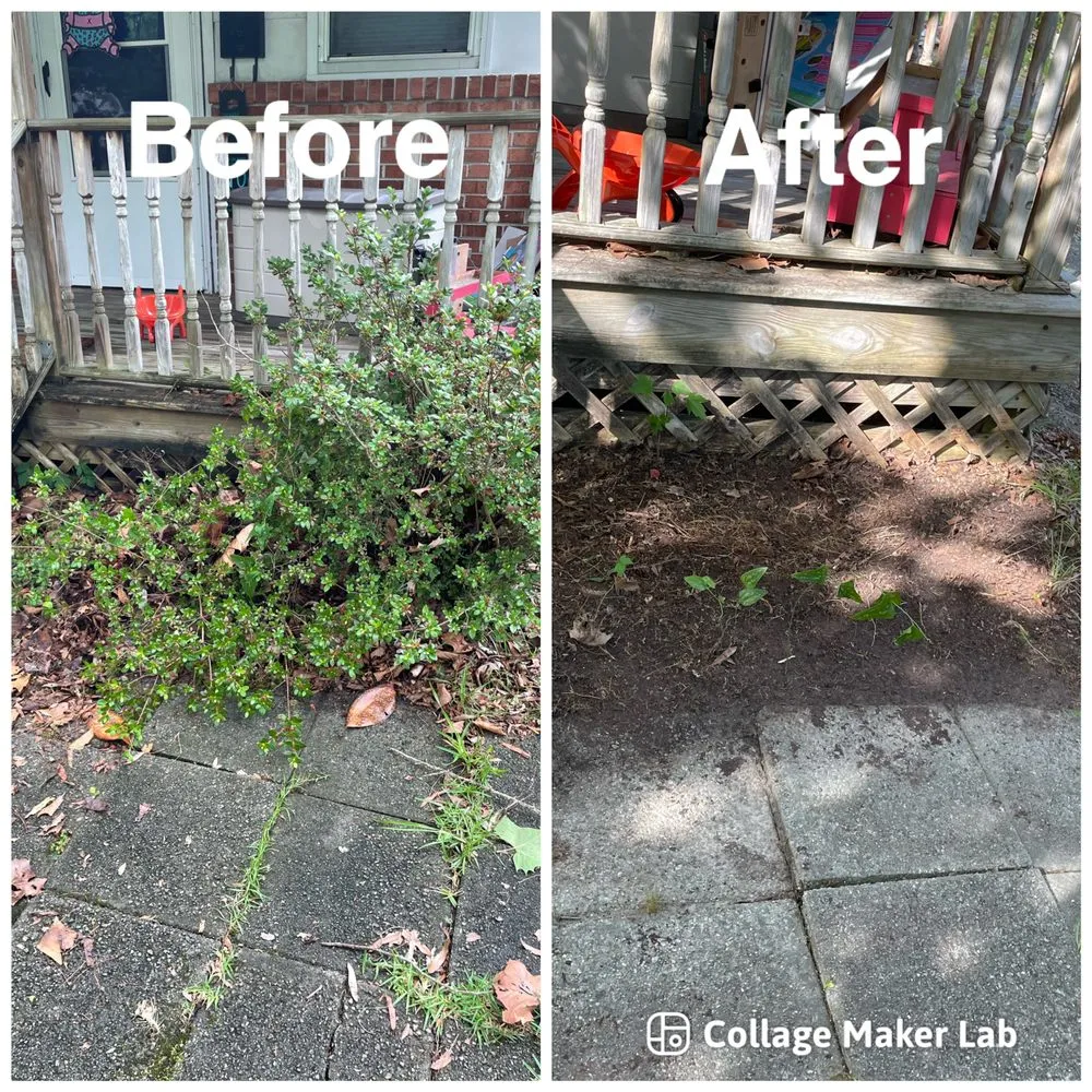 Professional yard cleanup service for outdoor upgrades across Jacksonville, NC - Big 5 Lawncare