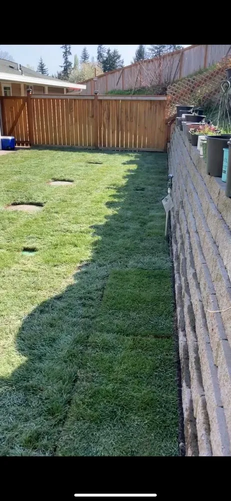 Affordable yard cleanup service in Vancouver, WA - Big Al Signature Lawn Services