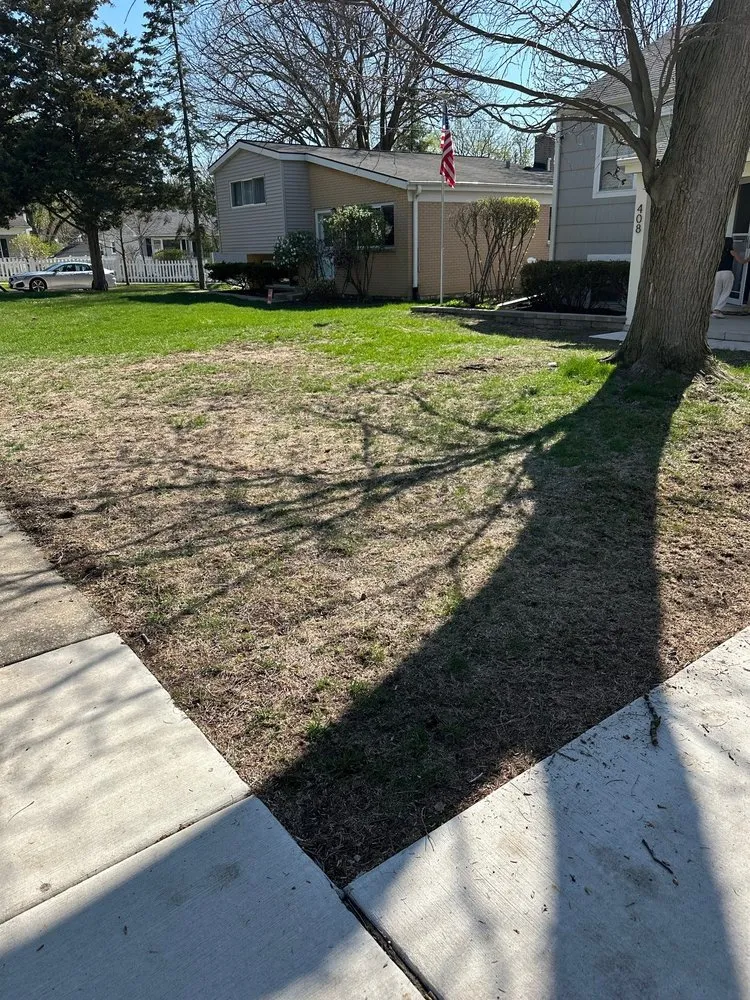 Affordable yard cleanup service in Wheaton, IL by Big Al's Lawn & Garden