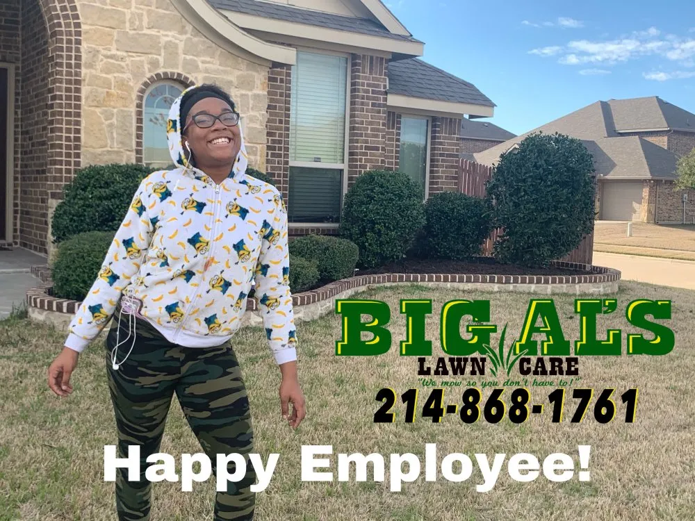 Professional landscaping services experts serving Arlington, TX - Big Al's Lawn Care