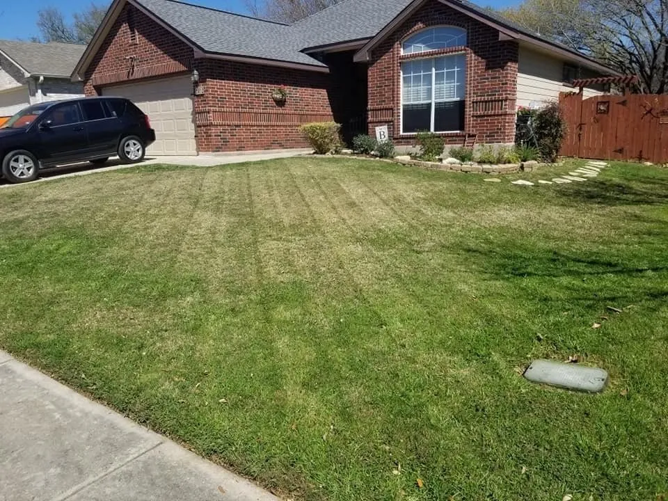 Custom outdoor landscaping experts serving Arlington, TX - Big Al's Lawn Care