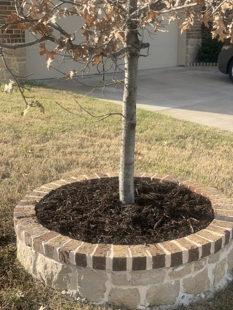 Custom lawn care service in Arlington, TX by Big Al's Lawn Care