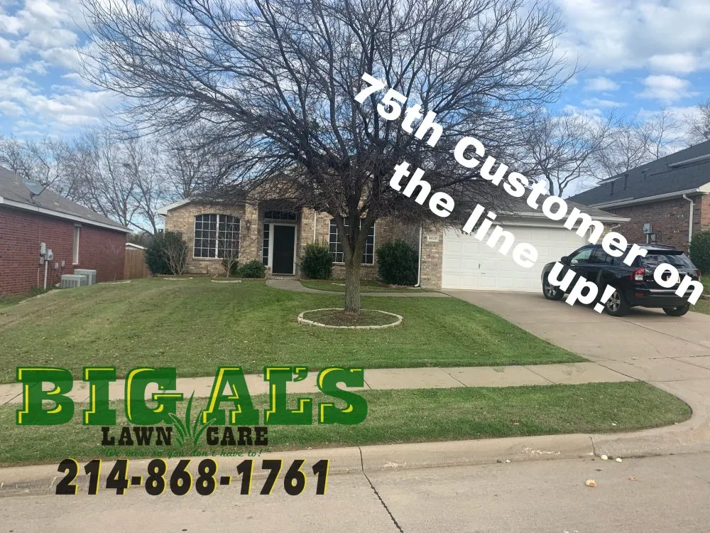 Local outdoor landscaping in Arlington, TX - Big Al's Lawn Care