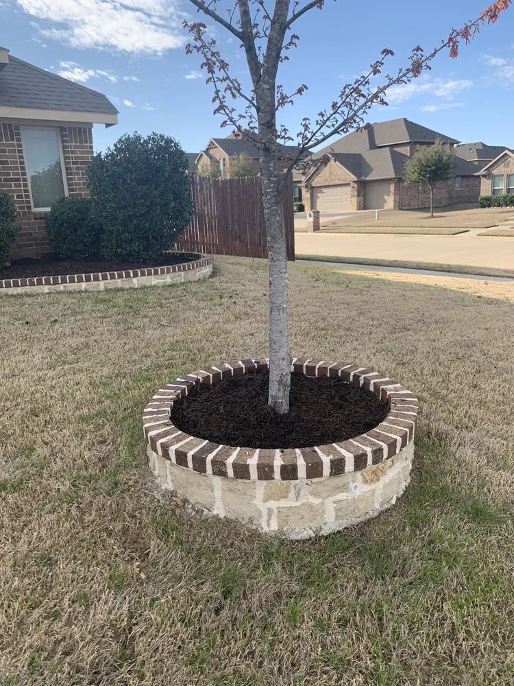 Custom lawn care service experts serving Arlington, TX - Big Al's Lawn Care