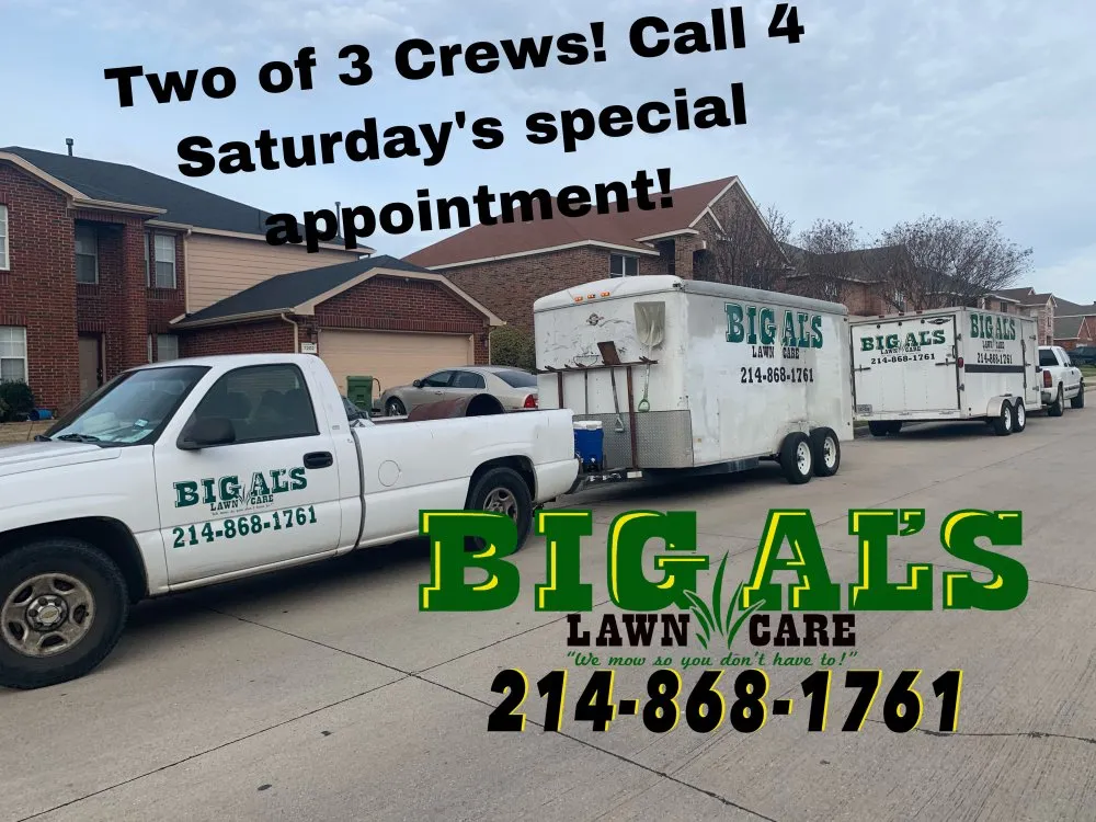 Top-rated yard maintenance experts serving Arlington, TX - Big Al's Lawn Care