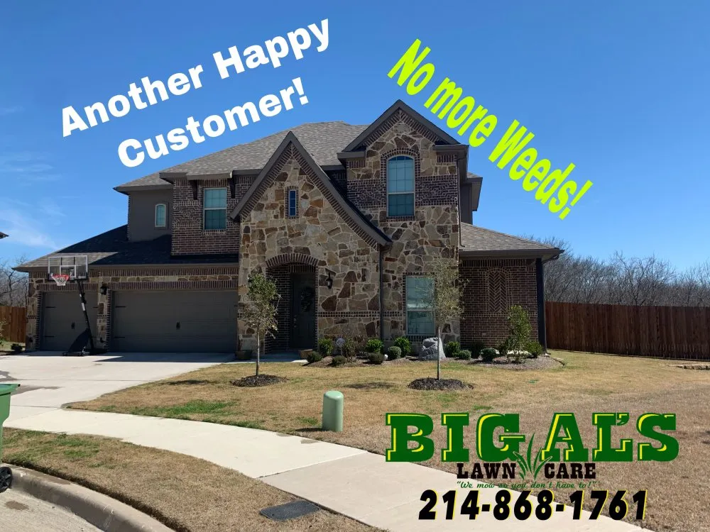 Top-rated yard cleanup service in Arlington, TX by Big Al's Lawn Care