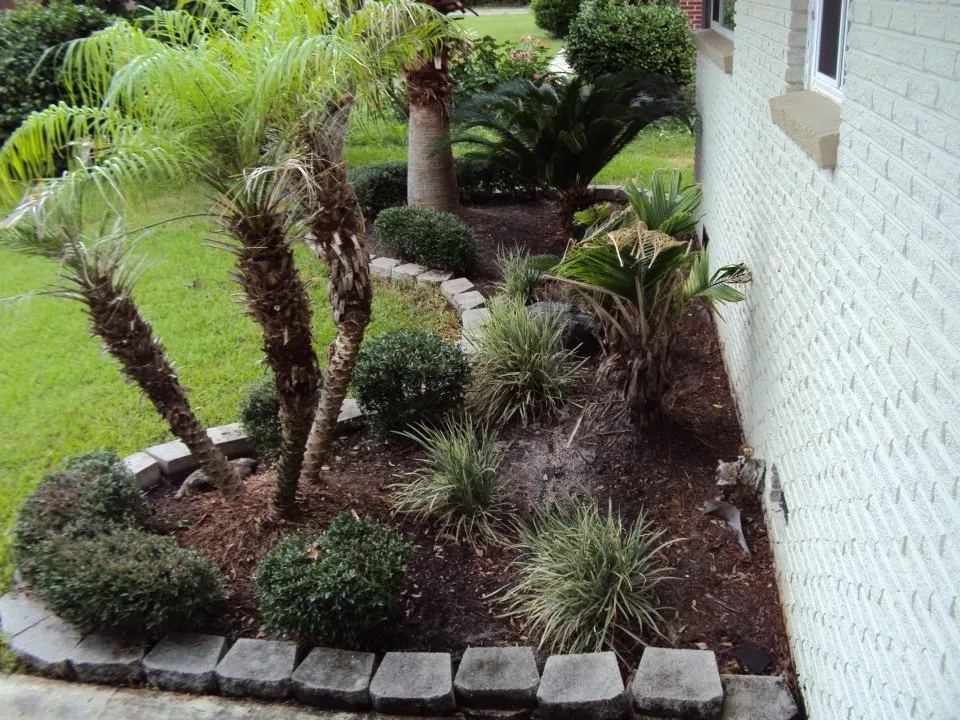 Trusted yard maintenance for homes across Pensacola, FL - Big Al's Lawn Care