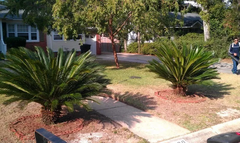 Local landscaping services for homes across Pensacola, FL - Big Al's Lawn Care