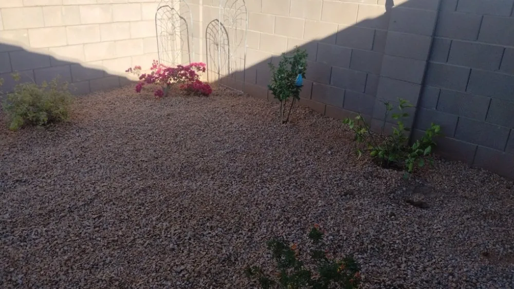 Local garden landscaping in Marana, AZ by Big Ants Landscaping