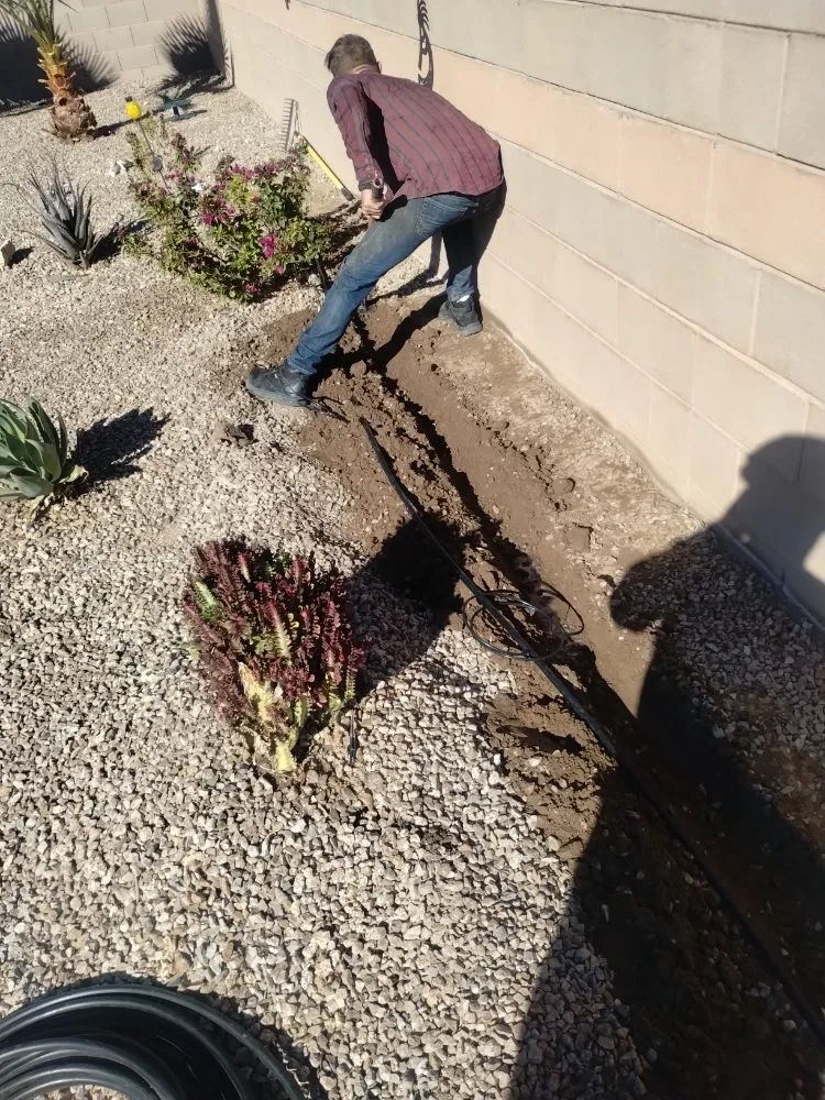 Affordable landscaping services for beautiful yards across Marana, AZ - Big Ants Landscaping