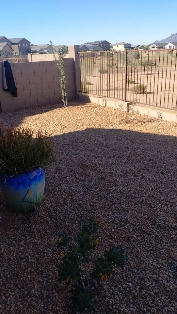 Local outdoor landscaping for beautiful yards in Marana, AZ by Big Ants Landscaping