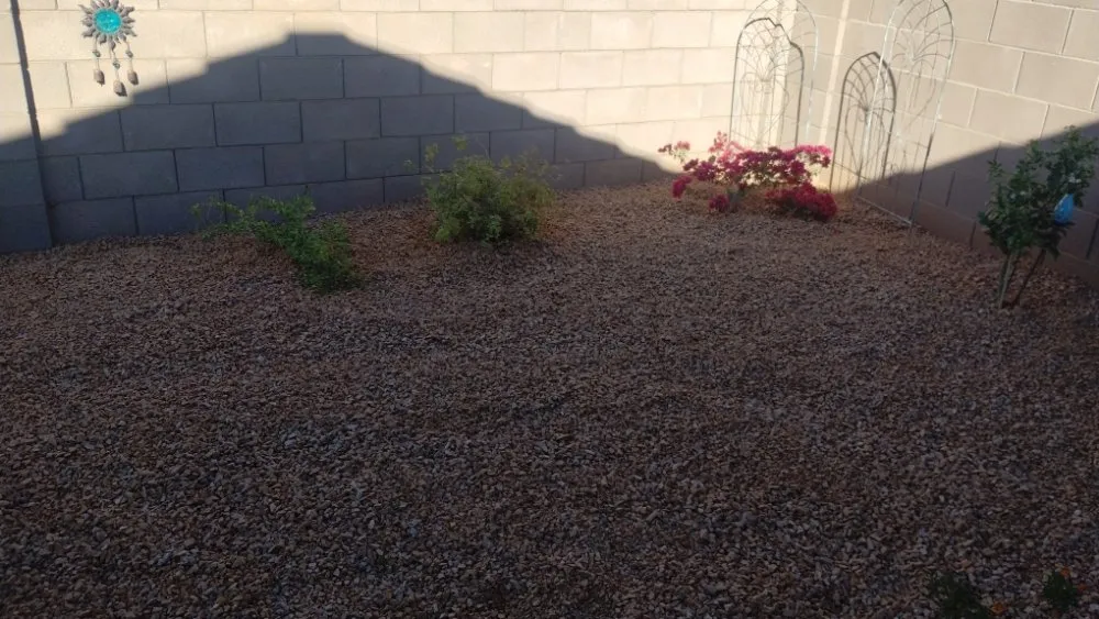 Top-rated landscape design for outdoor upgrades across Marana, AZ - Big Ants Landscaping