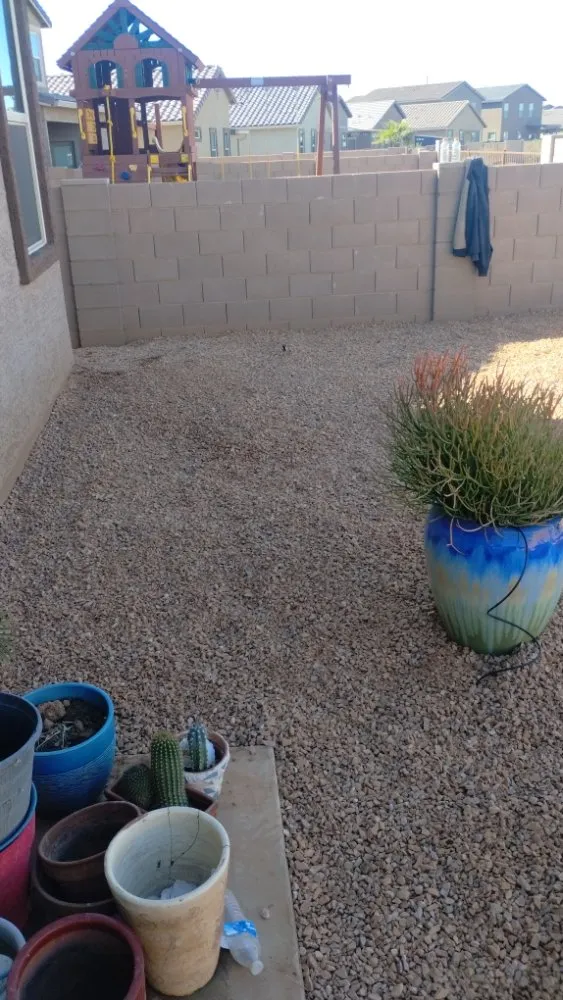 Affordable outdoor landscaping experts serving Marana, AZ - Big Ants Landscaping