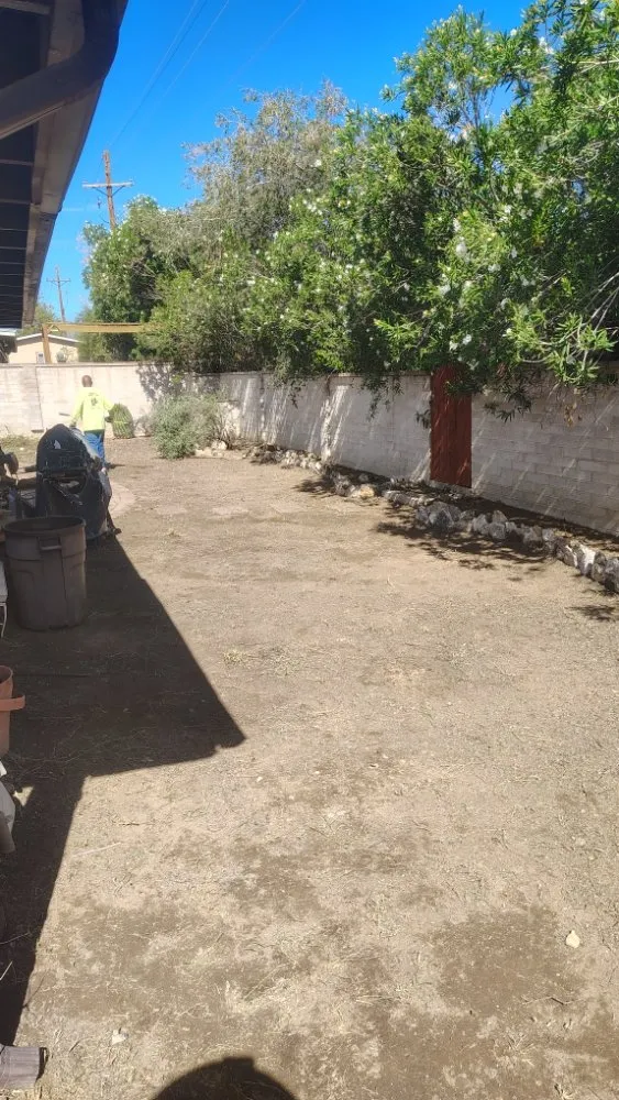 Affordable yard maintenance for year-round maintenance across Marana, AZ - Big Ants Landscaping