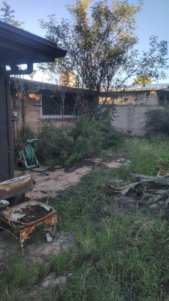 Trusted landscape design in Marana, AZ by Big Ants Landscaping