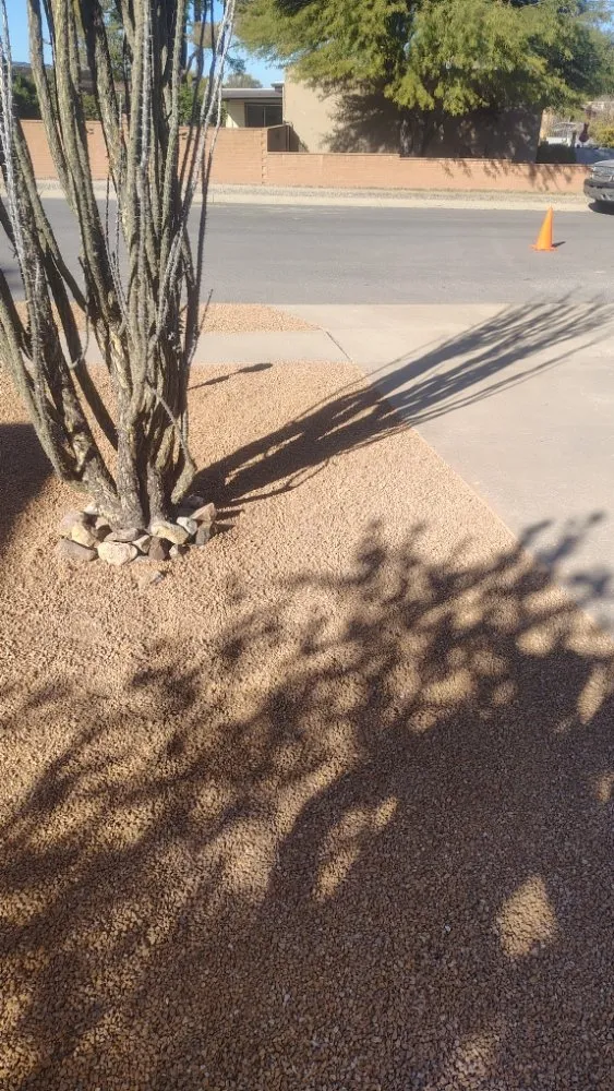 Top-rated landscape design in Marana, AZ - Big Ants Landscaping