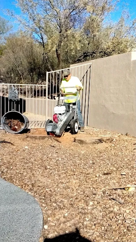 Custom outdoor landscaping for beautiful yards in Marana, AZ by Big Ants Landscaping