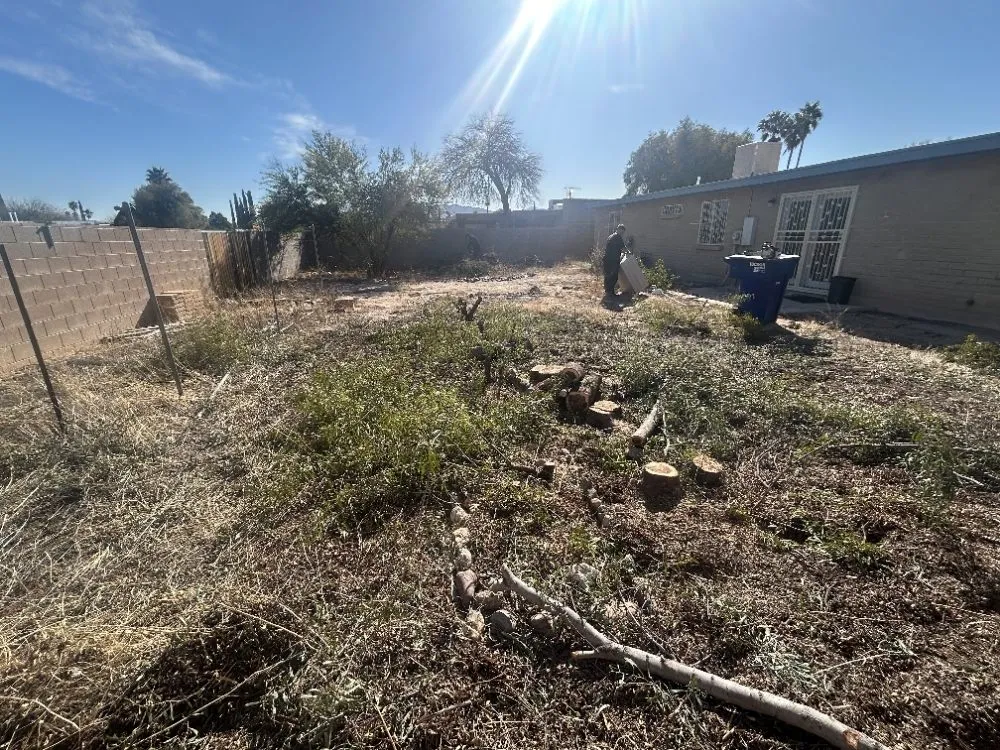 Professional landscape design for year-round maintenance in Marana, AZ by Big Ants Landscaping