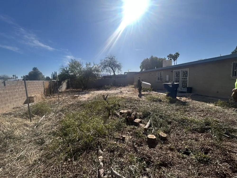 Local landscape design for year-round maintenance across Marana, AZ - Big Ants Landscaping