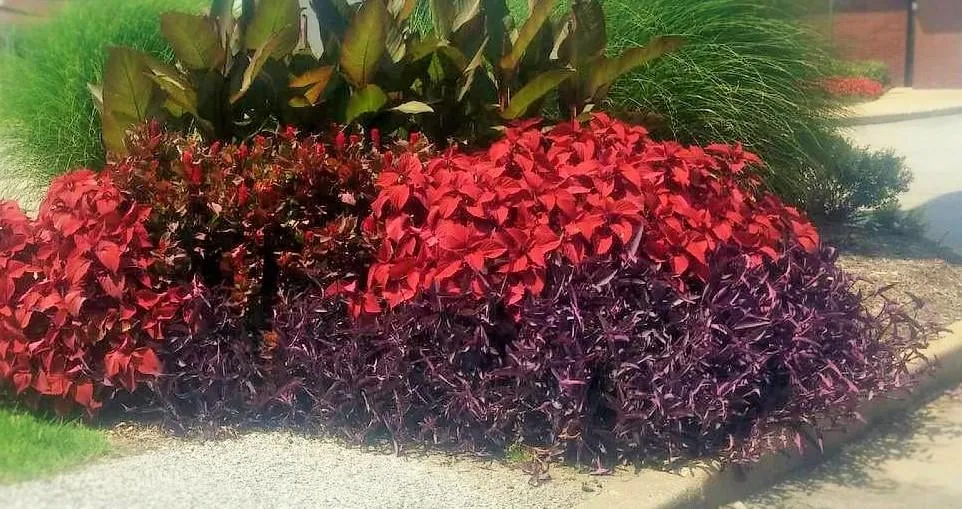 Trusted outdoor landscaping in Festus, MO by Big A's Lawncare & Landscaping