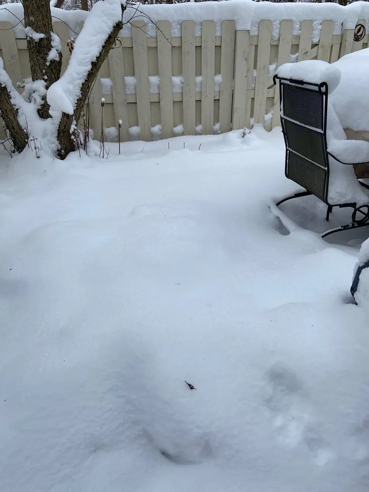 Trusted lawn care service for residential properties across Pepper Pike, OH - Big Bear Landscaping