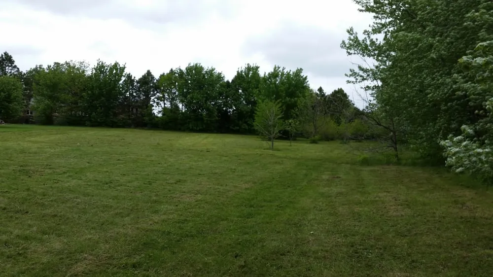 Affordable yard maintenance in Lincoln, NE by Big Bear Lawn Care and Snow Removal