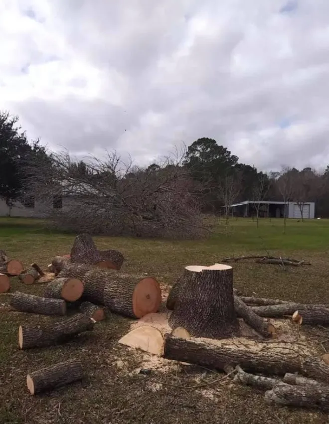 Trusted garden landscaping near you in Friendswood, TX by Big Bear Service