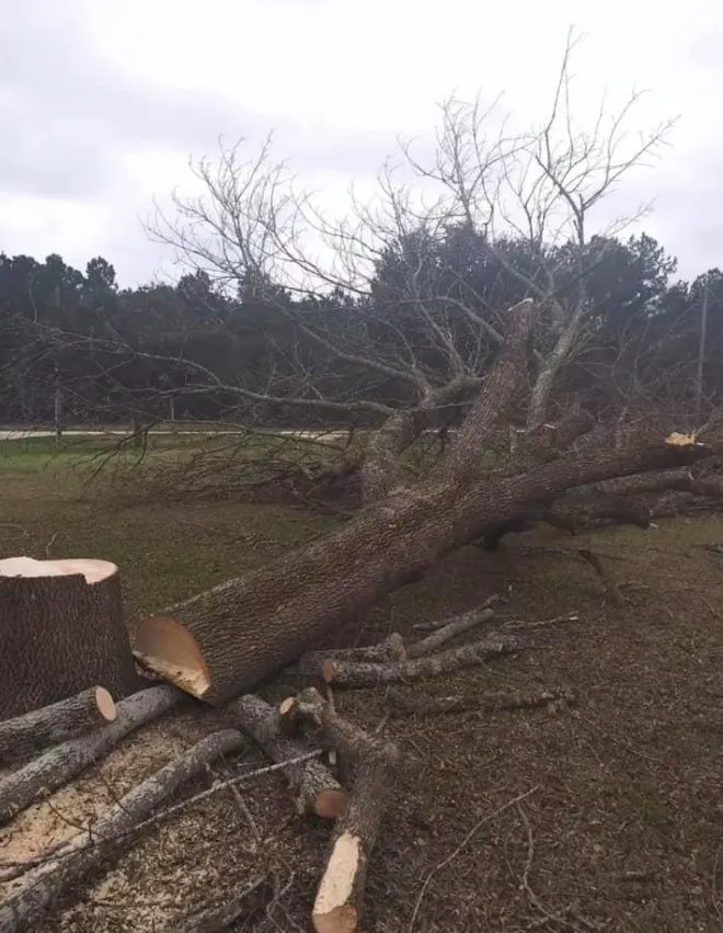 Affordable residential landscaping for homes across Friendswood, TX - Big Bear Service