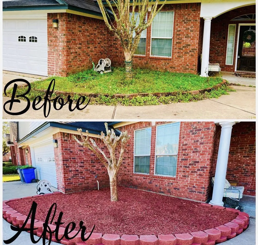 Local yard cleanup service in Friendswood, TX by Big Bear Service
