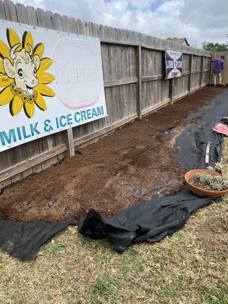 Top-rated lawn mowing service for homes in Friendswood, TX by Big Bear Service